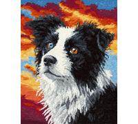 WallustrioaW Animal Perro Kit de Alfombra con Gancho,Border Collie,3D Patrón de color preimpreso Latch hook kits,Bordado Latch Hook Rug Costura Hecha a Mano,80x115cm