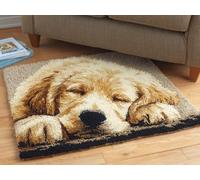 WallustrioaW Diy Kit Alfombra Gancho De Pestillo,Lindo golden retriever,Kit De Ganchillo Para Principiantes,Juego De Tapiz Con Lienzo Impreso,Regalo,55x75cm