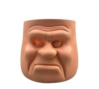 Walopola Macetas para plantas de flores, macetero de resina con cara, con cara humana divertida, maceta con cabeza de resina para flores, hierbas