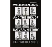 Walter Benjamin and the Idea of Natural History (Cultural Memory in the Present)