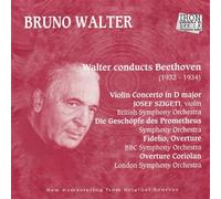 Walter, Bruno - Bruno Walter in Europa [Import]