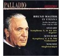 Walter, Bruno - In Vienna