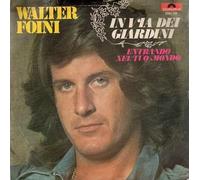 Walter Foini - In Via Dei Giardini / Entrando Nel Tuo Mondo [Vinilo de 7 pulgadas - 45 rpm]