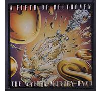 WALTER MURPHY BAND - a fifth of beethoven LP