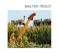 Walter Trout - Common Ground [Vinilo]