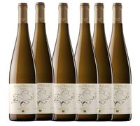 Waltraud Riesling 2022 - Vino Blanco D.O. Penedès - Variedad de Vino muy Afrutado y Aromática - Espectacular Vino - Pack 6 Botellas 750ml