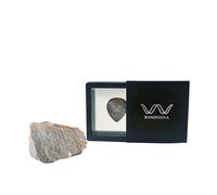 Wambooka Plettro artigianale in pietra rara per chitarra con impronta anatomica - Eterno, non si consuma(Nativo Picks Rare Stones - Orbicular Ecaille)