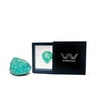 Wambooka Plettro artigianale in pietra rara per chitarra con impronta anatomica - Eterno, non si consuma(Nativo Picks Rare Stones - Amazonite)