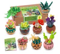 Wamkon Juego de fieltro punzonado, juego de 9 piezas para principiantes con suculentas, juego de fieltro, incluye lana de fieltro, estera de fieltro de aguja, agujas de fieltro e instrucciones para