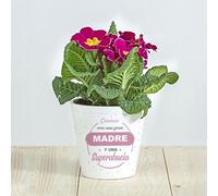 Wanapix | Maceta de Cerámica Personalizada | Regalo para el día de la Madre, Comuniones, Bodas o Bautizos | Jardinera con tu Nombre o Foto | Cerámica | Gran Madre y Super Abuela