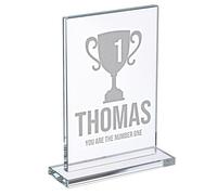 Wanapix | Trofeo Personalizado con Nombre y Texto | Cristal Grabado (Escala de Grises) | Premio Personalizado | Rectangular 12x19 cm | Incluye Estuche para Guardar | Primer Premio