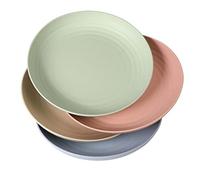 WANBY Juego de 4 platos de plástico ligeros irrompibles de 9 pulgadas, no tóxicos, aptos para lavavajillas y microondas, saludables
