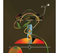 Wand - Spiders in The Rain