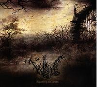 Wanderer - Bypassing The Abyss