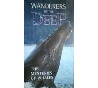 Wanderers of the Deep: The Mysteries of Whales [VHS] (1999)