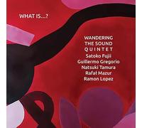 Wandering The Sound Quintet - Satoko Fujii & Guillermo Gregorio & Natsuki Tamura & Rafal Mazur & Ramon Lopez - WHAT IS...?-WANDERING THE SOUND QUINTET - SATOKO FUJ