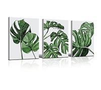 Wanfoou Juego de 3 Pósteres Modernos de Color Verde,Planta Pósteres en Lienzo, Cuadros Decoración Salón/Comedor/Pasillo/Recibidor/Dormitorio, Cuadro Decorativo Moderno Sin Marco,30×40CM