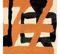 Wang Wen Painful Clown & Ninja Tiger (CD) Album Digipak (Importación USA)