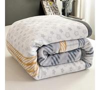 WANGCAIER Thick Winter Bed Blankets Soft and Warm Plush Blanket Large Cozy Fluffy Sofa Throw Reversible Raschel Heavy Korean Mink Blanket Double for Sofa Travel Living Room(150×200cm（2500g）,7#)