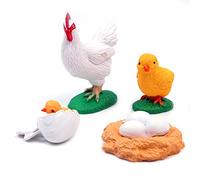 WANGCL Ciclo de Vida del Pollito, Ciclo de Vida Animal de Alta simulación Modelo de Aprendizaje Animal en 4 Partes Juguetes educativos para niños pequeños