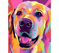 WANGMAOMAO Pintar por numeros Adultos perro labrador colorido Pintura al óleo de Bricolaje Lienzo niños y Principiante Paint Pintura decoración del hogar Arte Regalo 40x50 cm -con marco
