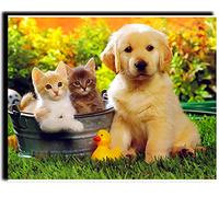 WANGMAOMAO Pintar por Numeros para Adultos Niños animales perro y gato Pintura por Números con Pinceles y Pinturas DIY Pintura al óleo Decoraciones para el Hogar Regalo 40x50cm -con marco
