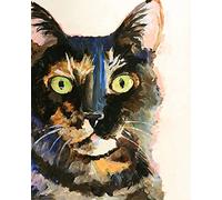 WANGMAOMAO Pintar por Numeros para Adultos Niños Pintura por Números con Pinceles y Pinturas Decoraciones para el Hogar 16 * 20 Pulgadas regalo de home Tortie carey gato animal gato -con marco
