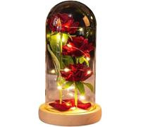 WANGSHAOWEI Rosa de Cristal, Rosa for Siempre, Regalo del día San Valentín for Novia, eterna, Flor lámina luz en Cubierta Vidrio, favores Boda for Madres, Dama Honor(Log Petal)