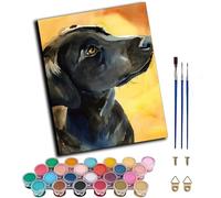 WANGWANGMIAO Paint by Numbers Kit para adultos principiantes Edades 8-12 (Perro labrador negro) 16x20inch para kits de pintura para el Hogar Regalo,sin marco