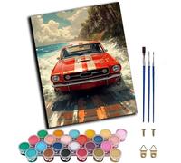 WANGWANGMIAO Pintar por Numeros Adultos,Coche deportivo rojo junto al mar Paint by Number Kits con Pinceles y Pigmento Acrílico, 50x40cm Colorear Lienzo Decoración del Hogar,sin marco
