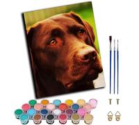 WANGWANGMIAO Pintar por Numeros Adultos,Labrador marrón, animal, mascota, perro Colorearpor Numeros Adultos,Pintar con Numeros,40X50cm Cuadros para Pintar Por Numeros Decoración del Hogar,sin marco