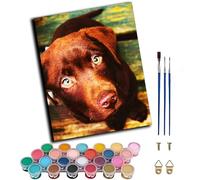 WANGWANGMIAO Pintar por Numeros Adultos,Labrador retriever marrón, lindo perro mascota Pinturas al óleo Acrílicas por Números Principiantes Kit de Pintura,40x50cm Decoración del Hogar,sin marco