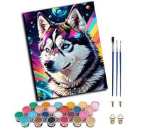 WANGWANGMIAO Pintar por Numeros Adultos,Perro husky del universo de Fantasy Planet DIY Pintura por Numeros Cuadros para Pintar por Numeros Kit con Pinceles y Pinturas Acrilicos 40x50cm,sin marco