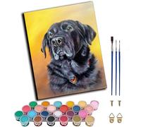 WANGWANGMIAO Pintar por Numeros Adultos,Perro labrador negro Colorearpor Numeros Adultos,Pintar con Numeros,40X50cm Cuadros para Pintar Por Numeros Decoración del Hogar,sin marco