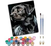WANGWANGMIAO Pintar por Numeros Adultos,perro negro solitario Paint by Number Kits con Pinceles y Pigmento Acrílico, 50x40cm Colorear Lienzo Decoración del Hogar,sin marco