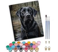WANGWANGMIAO Pintar por Numeros Adultos (Retrato de perro labrador negro) 40x50cm DIY Pintura por Números, Kit de Pintura al óleo de Lienzo DIY para con Pinceles, Pigmento Acrílico,sin marco