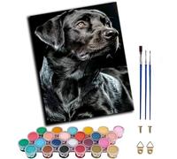WANGWANGMIAO Pintar por Numeros Adultos -Retrato de perro negro labrador -DIY Pintura por Números,Pinturas al óleo Acrílicas por Números para Principiantes 40x50cm,sin marco