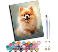 WANGWANGMIAO Pintar por Numeros (Lindo perro Pomerania) DIY Cuadro al óleo para Kit de Pintura al óleo Digital para Adultos decoración para el hogar 40x50cm,sin marco