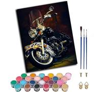 WANGWANGMIAO Pintar por Numeros para Adultos,motocicleta negra (16 * 20 Pulgadas) Pintura por Números con Pinceles y Pinturas Decoraciones para el Hogar,sin marco
