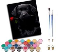 WANGWANGMIAO Pintura por Números para Adultos (Labrador negro rosa perro) 40X50 CM Kit de Pintura al óleo de Lienzo,con Pinceles Pigmento Acrílico Decoración del Hogar,sin marco