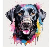 WANGXIAO Pintar Con Numeros Adultos,Con Tres Pinceles y Pintura Acrílica,Cuadros para Pintar Por Numeros DIY para Principiantes,40x40 cm,Perro labrador negro en acuarela,Con marco