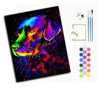WANGXIAO Pintar por Numeros Adultos,DIY Pintura por Numeros Kit,Cuadros por Numeros Pigmento Acrílico,Decoración para el Hogar Regalo,40x50cm,Perro colorido Labrador,con marco