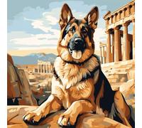 WANGXIAO Pintar por Numeros Adultos,DIY Pintura por Numeros Kit,Cuadros por Numeros Pigmento Acrílico,Decoración para el Hogar Regalo，40x40cm，perro pastor alemán del templo,Con marco