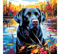 WANGXIAO Pintar por Numeros Adultos,DIY Pintura por Números,Kit de Pintura al óleo de Lienzo DIY para con Pinceles,Pigmento Acrílico，40 x 40cm,perro labrador negro junto al lago,Con marco