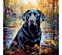 WANGXIAO Pintar por Numeros,DIY Cuadro al óleo con números para Kit de Pintura al óleo Digital para Adultos y de Regalos,40x40cm,perro labrador negro junto al lago,Con marco