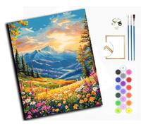 WANGXIAO Pintar por Numeros,DIY Cuadro al óleo números Kit de Pintura al óleo para Adultos y de Lienzo decoración para el hogar,40x50cm,Valle Atardecer Flor Mar,con marco