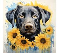 WANGXIAO Pintura por Números,40x40cm,DIY Kit de Pintar con Números,Pintura al óleo con Pinceles y Pigmento Acrílico para Adultos ，perro labrador negro girasol,Con marco