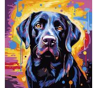 WANGXIAO Pintura por Números,DIY Kit de Pintar con Números,40x40cm,Pintura al óleo de Lienzo con Pinceles y Pigmento Acrílico para Adultos ，perro labrador negro colorido,Con marco