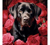 WANGXIAO Pintura por Números para Adultos Principiantes,40 x 40 cm，Pintura con 3 Pinceles Painting by Number Kit，perro labrador negro rosa roja,Con marco