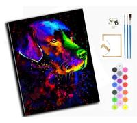 WANGXIAO Pintura por Números para Adultos Principiantes,40 x 50 cm,Pintura con 3 Pinceles Painting by Number Kit,Perro labrador negro con garabatos coloridos,con marco